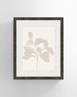 Shadow Botanicals No 1. Wall Art