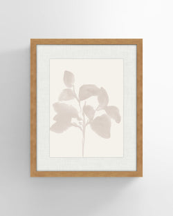 Shadow Botanicals No 1. Wall Art