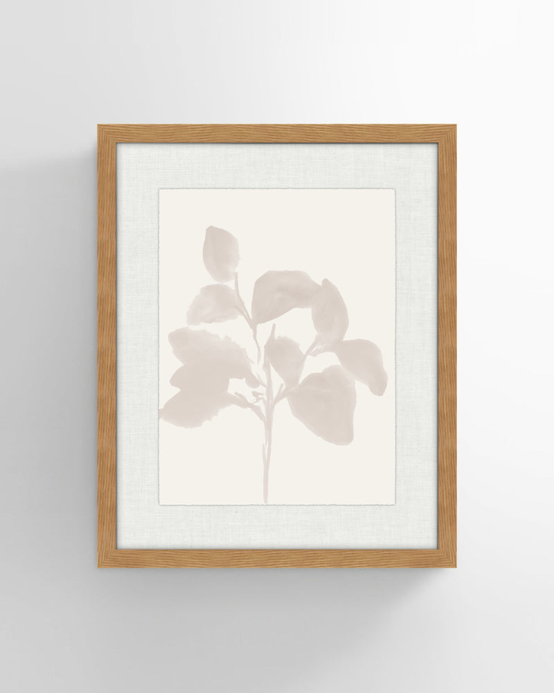 Shadow Botanicals No 1. Wall Art