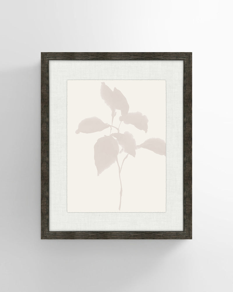 Shadow Botanicals No 2. Wall Art