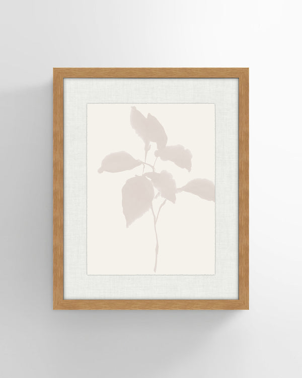Shadow Botanicals No 2. Wall Art
