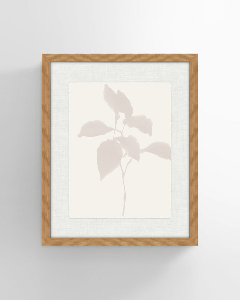 Shadow Botanicals No 2. Wall Art