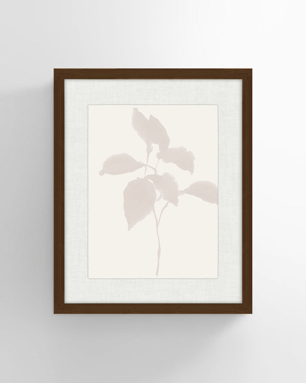 Shadow Botanicals No 2. Wall Art