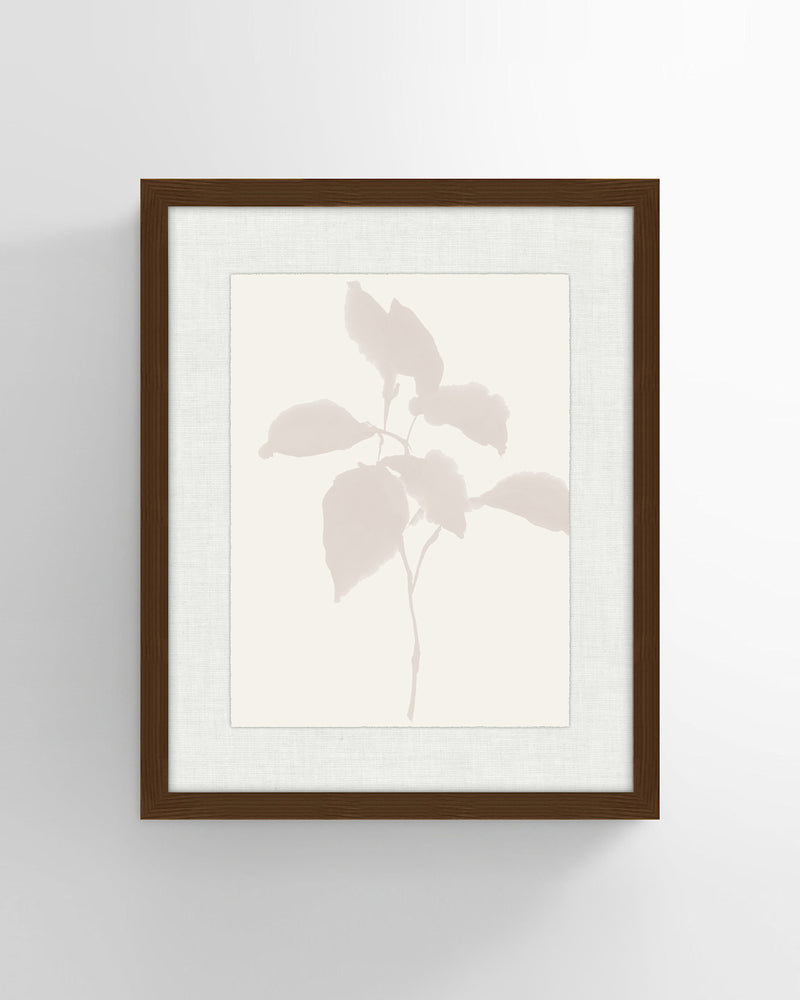 Shadow Botanicals No 2. Wall Art
