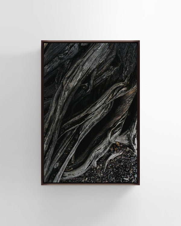 Root Of The Earth Photography Wall Art