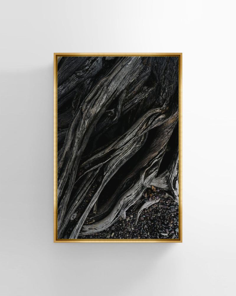 Root Of The Earth Photography Wall Art